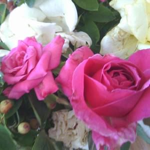 Meet your Posher, Morgana